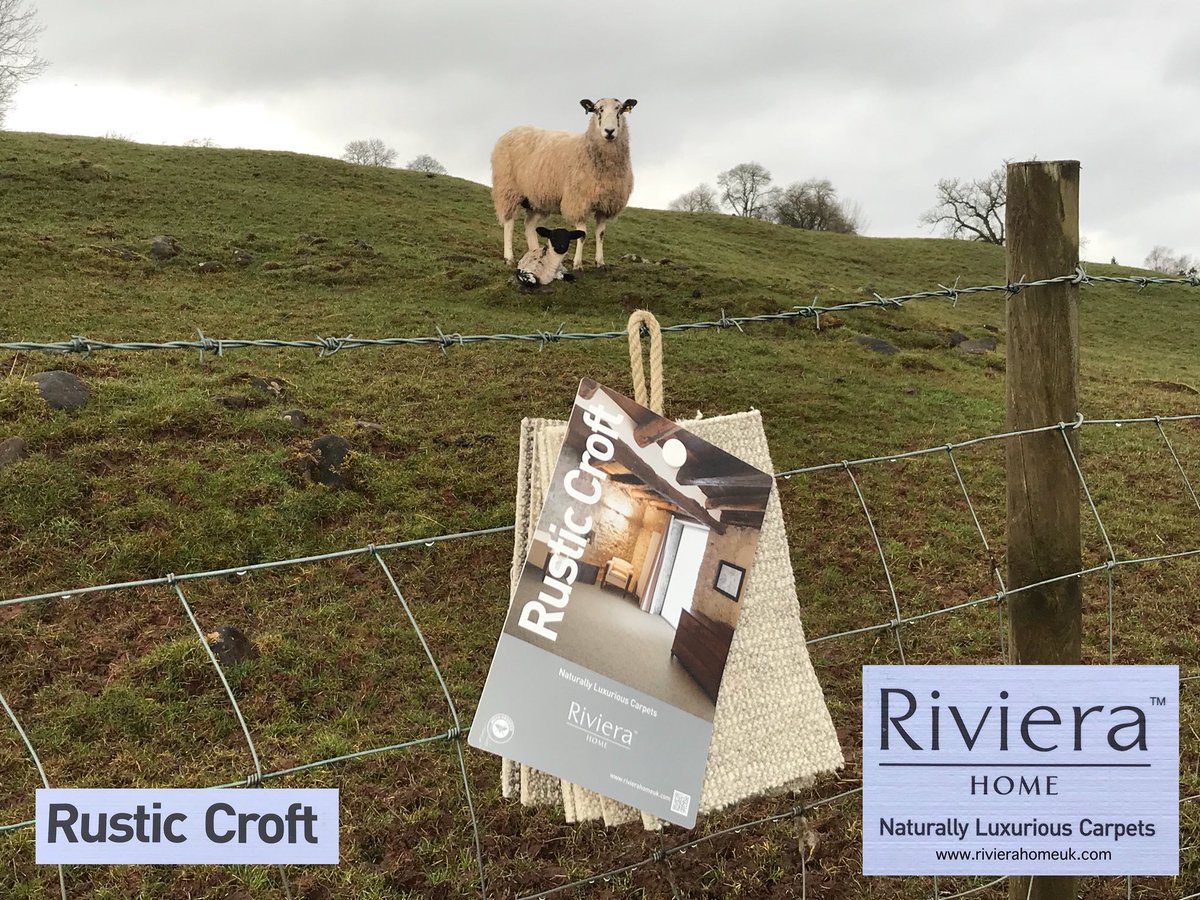 riviera_home_uk's tweet photo. Our proud new arrival #RusticCroft 100% #wool #carpet alongside a fantastic #springlamb & her #proudmother #cumbria visit https://t.co/DKmH6e6VhF for your nearest stockist @woolcarpets @Campaignforwool @theinsidestory1 @HelenWilson72 @carpetscumbria @vanessabrady https://t.co/pyKSGc5qXd