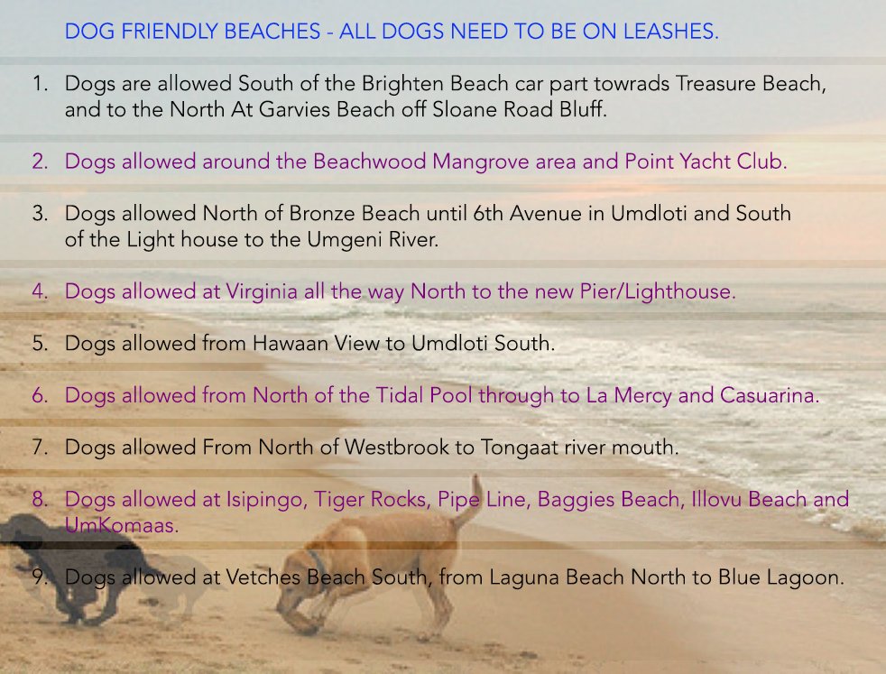 Did you know? EThekwini Municipality has dog friendly beaches..#dogfriendlybeaches🐕🐶