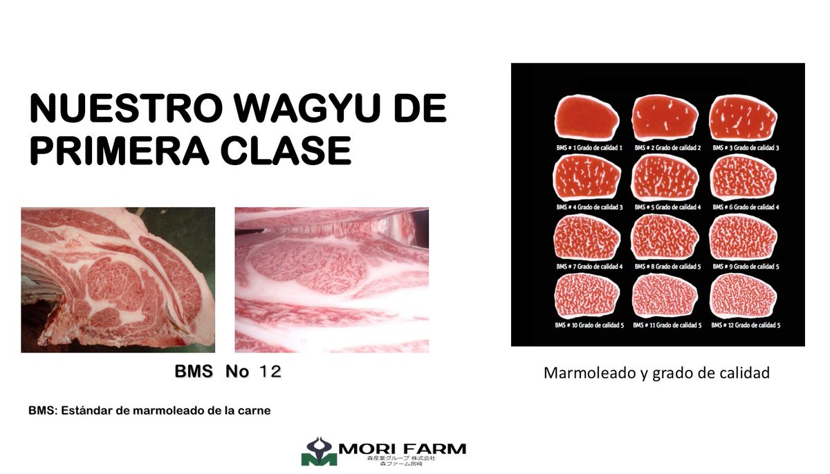 SinatraYaMadrid's tweet photo. En la granja "Mori Farm", de Kagoshima, se crían reses de Wagyu. Jay, dueño de Sinatra Ya y propietario de esta granja, trae de allí la mejor carne de Wagyu que nosotros, con todo el gusto, ofrecemos a diario a nuestros clientes. https://t.co/LZZIghbq9U