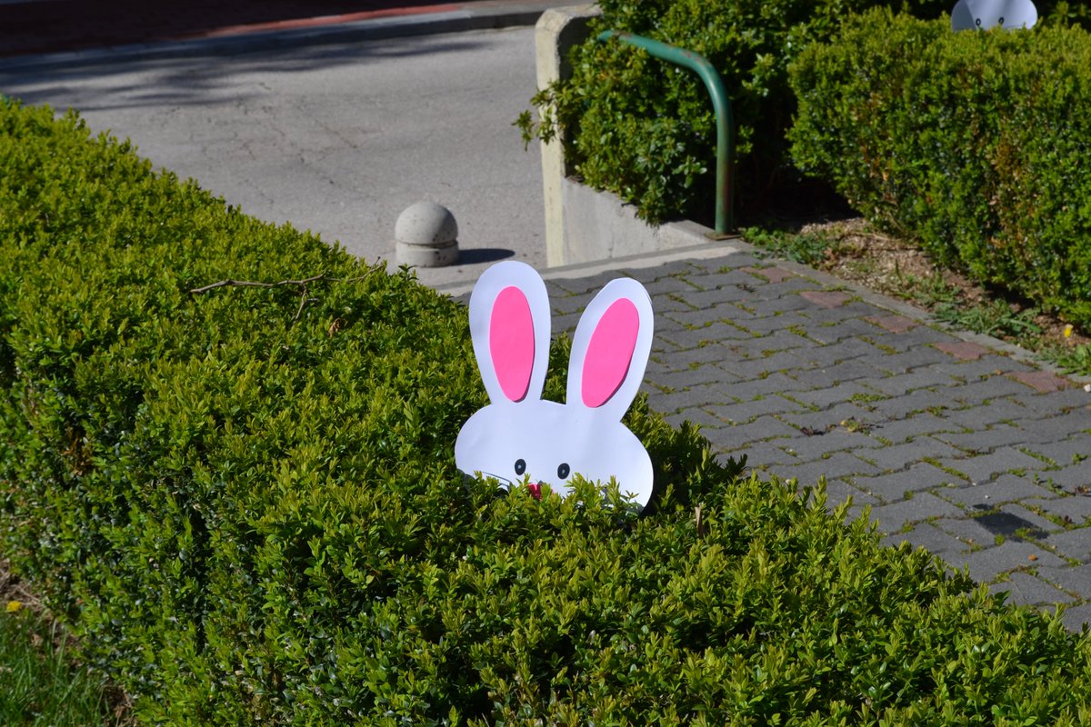 TZGradac's tweet image. #Easter #happyeasterholidays #fun #Croatia