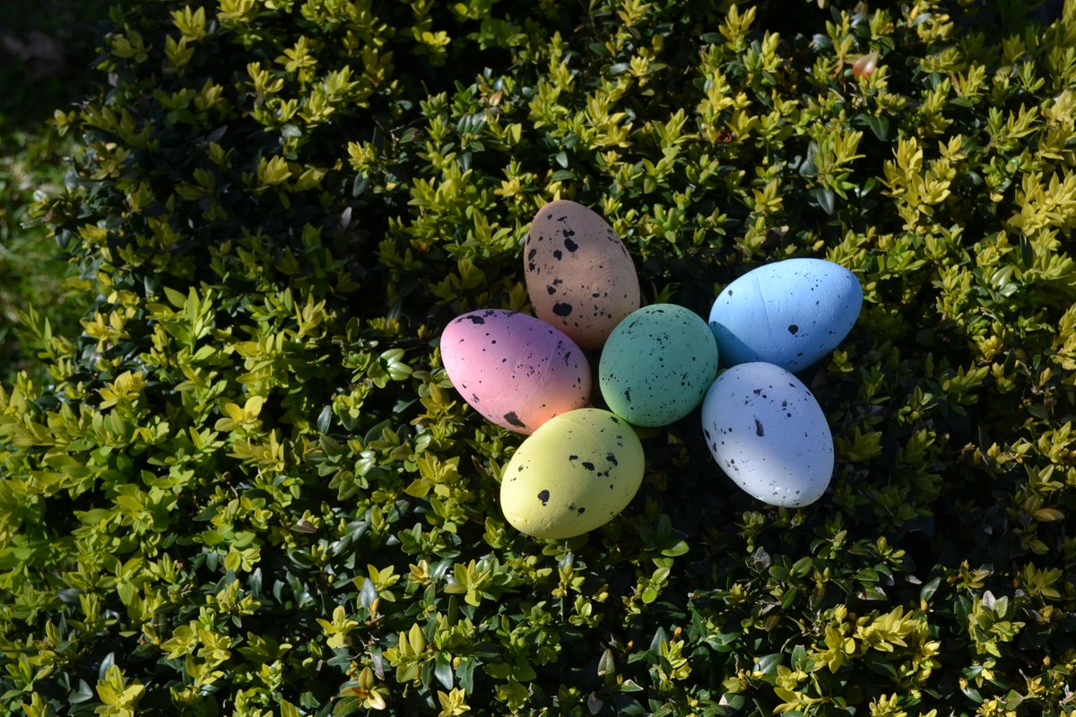 TZGradac's tweet image. #Easter #happyeasterholidays #fun #Croatia