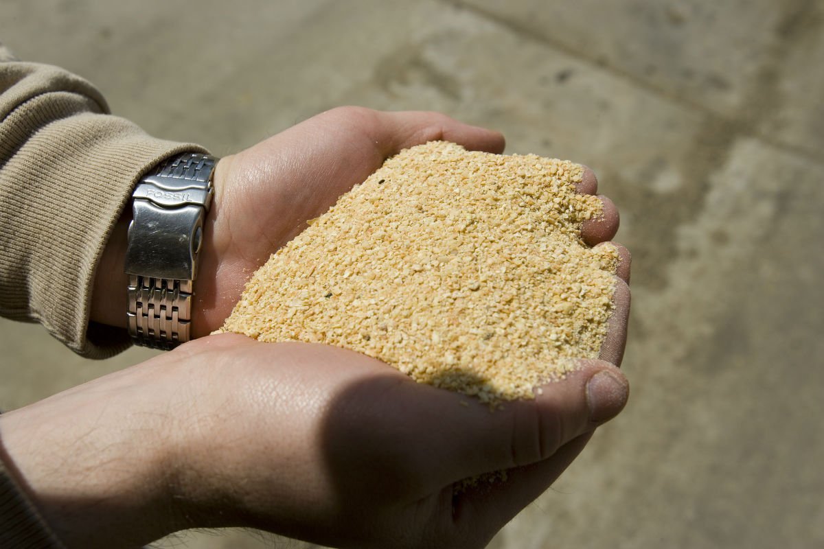 Seeds&Chips tweet media
