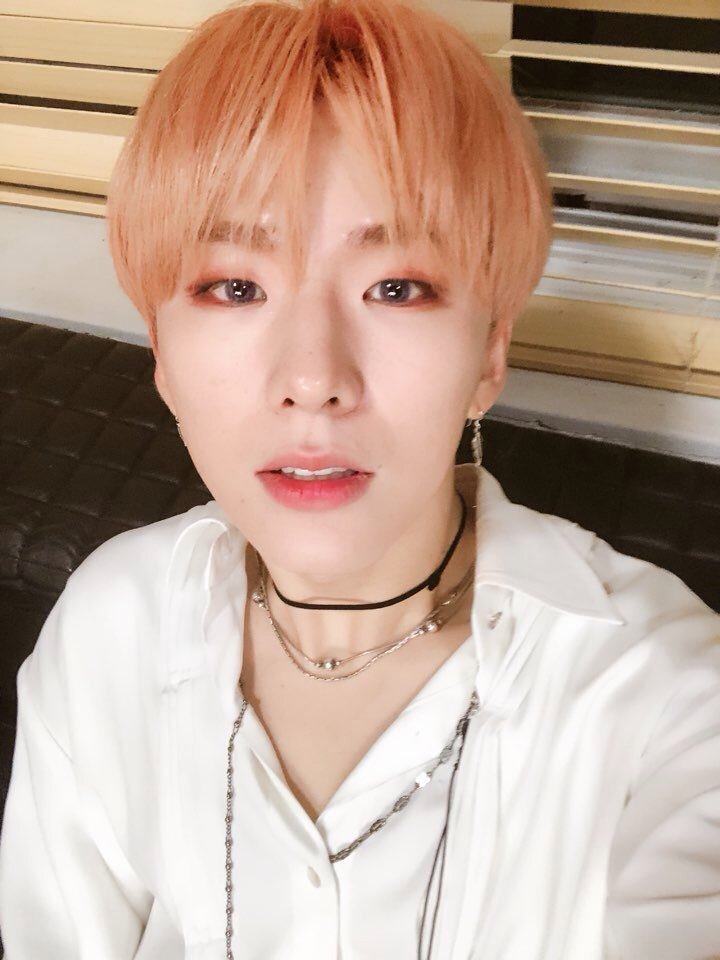 93puffs's tweet photo. hi i love u a lot <3 https://t.co/1KWESbMhba
