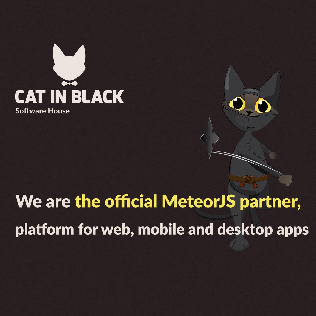 #meteor #officialpartner #webapp #apps