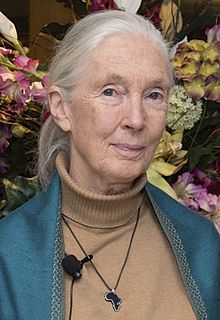 Happy Birthday to British primatologist & anthropologist Dame Jane Goodall! 