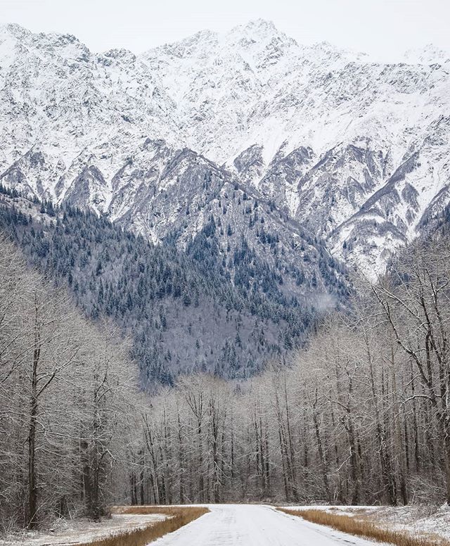 garydougherty_'s tweet photo. Lookin' for road back to Haines 😜
.
.
#canon #photography #canon_photos #HainesHighway #Haines #naturalalaska #alaska #alaskamagazine #sharingalaska #alaska_lovers #optoutside #mothernature #naturelovers #nature #naturephotography #hiking #lifestyle … https://t.co/b49Bfr4oeJ https://t.co/koY4msv7sR