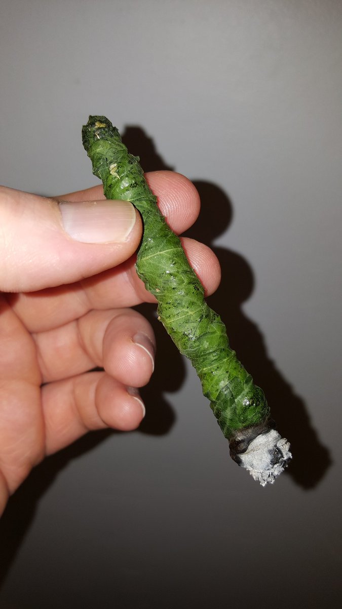 Vatfaires's tweet photo. Real one ! #Blunt 💨💨 https://t.co/TgXslms2cF