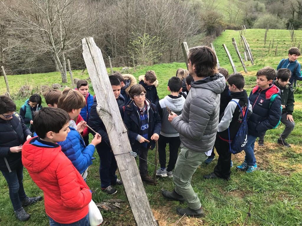 BodegaElPendo's tweet photo. Visita cultural del Colegio Torrevelo-Peñalabra a la Cueva del Pendo+Viñedo+Ruta Eco-geológica. #bodegaelpendo #enocultura #elpendo https://t.co/5E4OU1dwdY