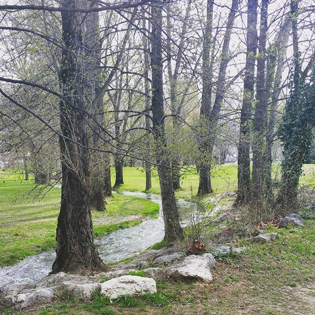 visitegourmande's tweet image. #pausemidi ift.tt/2uNyAWU