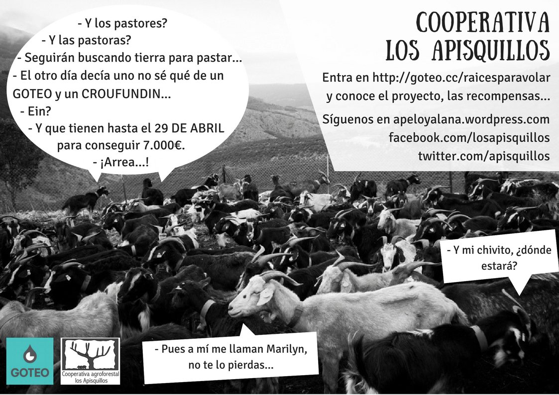 apisquillos's tweet photo. Nos faltan 7.000 para alcanzar el objetivo óptimo y nos quedan 26 días de campaña! Has aportado? Has difundido? Toda aportación y ayuda suman. Arrea! 👉https://t.co/kvKi6tRDdJ
#raicesparavolar #apeloyalana #aporeloptimo https://t.co/rmnB01HZq6
