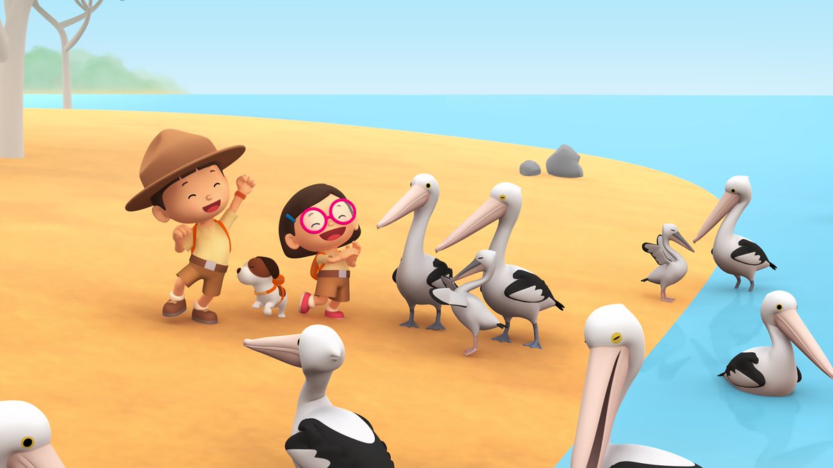 ZooMooUK's tweet photo. DYK: Australian Pelicans have the longest bill of any species of bird? It can grow up to 47cm long! Leo the Wildlife Ranger has a task on his hand to reunite a young pelican with its family - catch the action on @virginmedia kids on demand! #coolanimalfacts https://t.co/5wTJb7Khjj