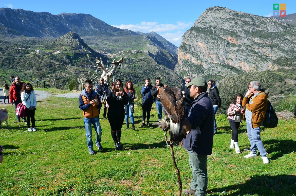 VitaCalabra's tweet photo. A #pasquetta siamo stati ospiti dell’associazione “I sette venti del Pollino” #falconeria in #Calabria nel cuore del #parconazionaledelpollino. Sullo sfondo #Civita a brevissimo il video racconto sul blog 👉🏻 https://t.co/wBP1oy7tiv https://t.co/axDN3HlsWf