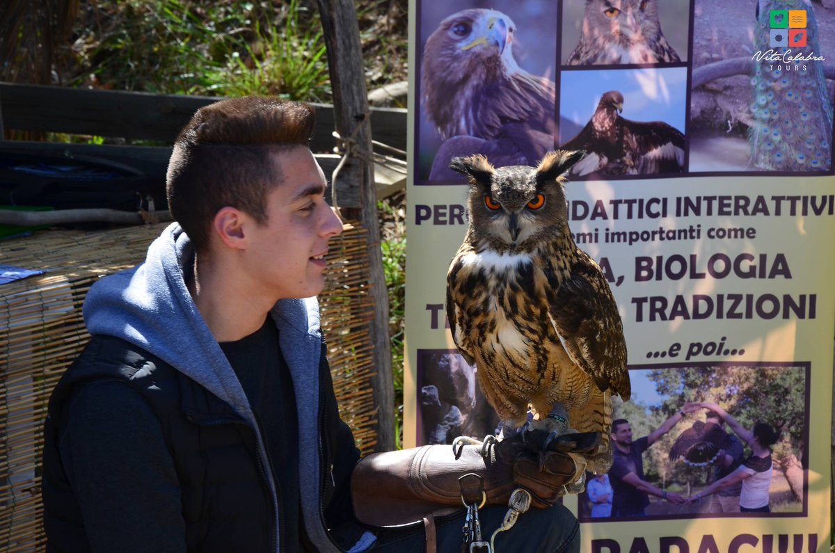 VitaCalabra's tweet photo. A #pasquetta siamo stati ospiti dell’associazione “I sette venti del Pollino” #falconeria in #Calabria nel cuore del #parconazionaledelpollino. Sullo sfondo #Civita a brevissimo il video racconto sul blog 👉🏻 https://t.co/wBP1oy7tiv https://t.co/axDN3HlsWf