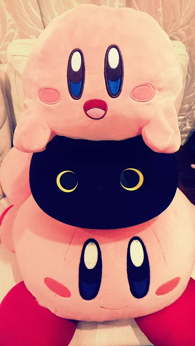 カービィを積んできました 