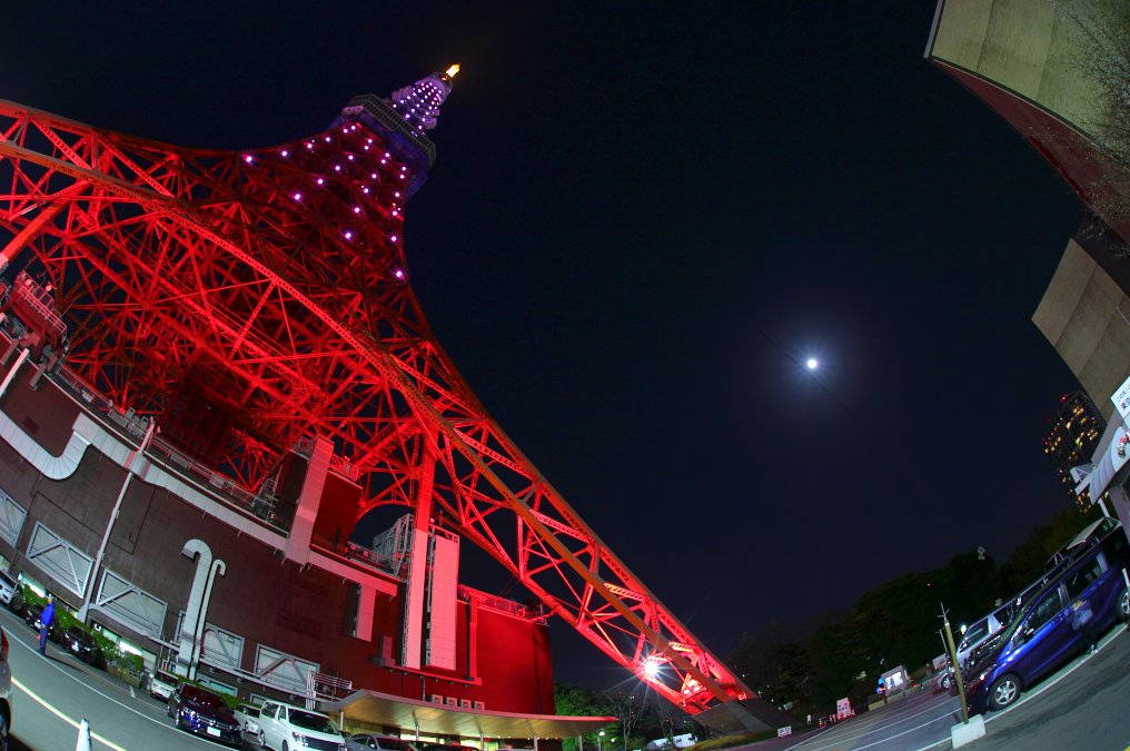 ドリームピンク