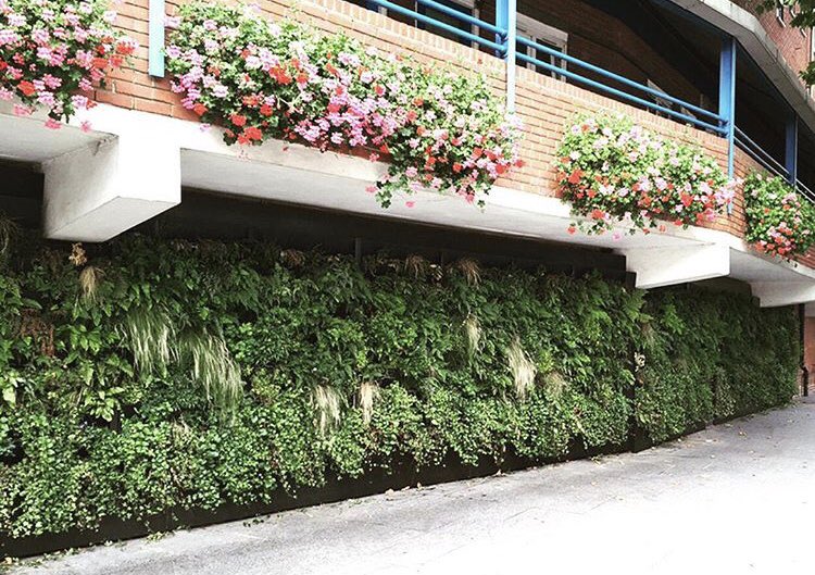 April showers bring may flowers...and water storage! The vertical #rainwatergarden on Fair Street.