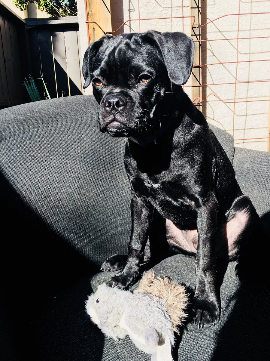 schumanisms's tweet photo. My handsome, Mr. Bruce Wayne. https://t.co/SUZVrU07u8