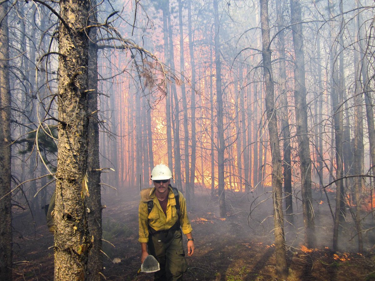 Nature_Colorado's tweet image. @denverpost reports "It should be a simple nonpartisan fix to a budgeting issue that every year strips the U.S. Forest Service of its ability to adequately manage millions of acres of federal land and the trails"  dpo.st/2oX1Gh2 #firefixnow