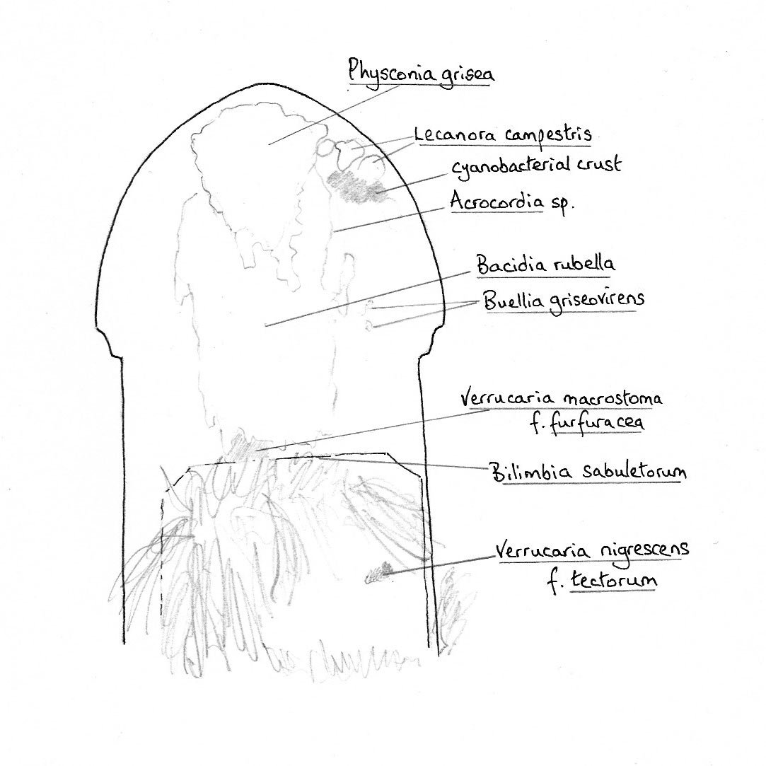 Mark Powell tweet media