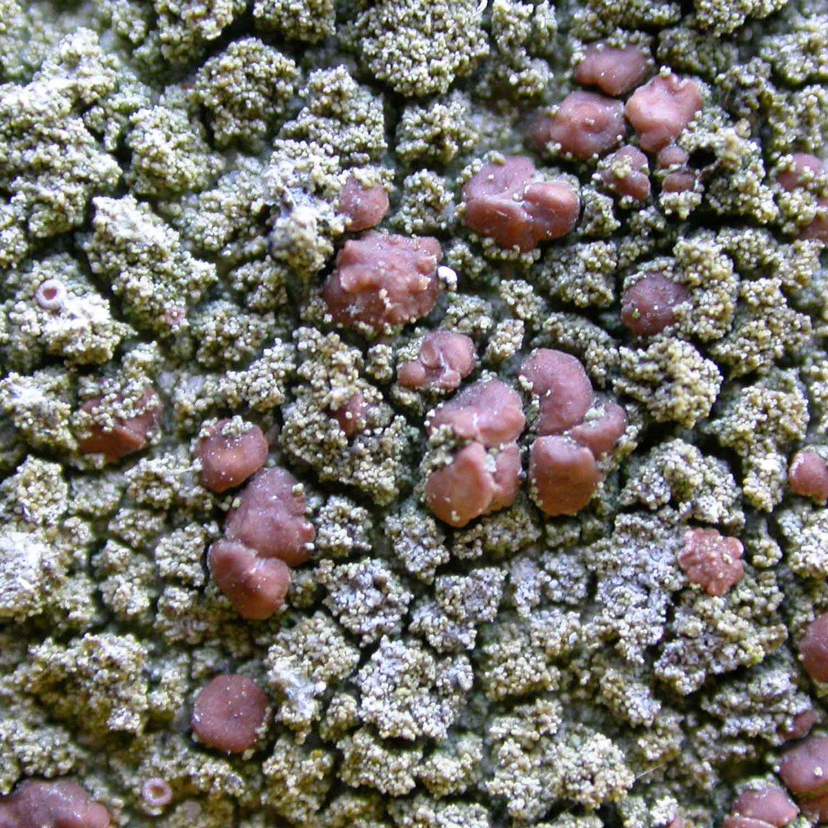 Mark Powell tweet media