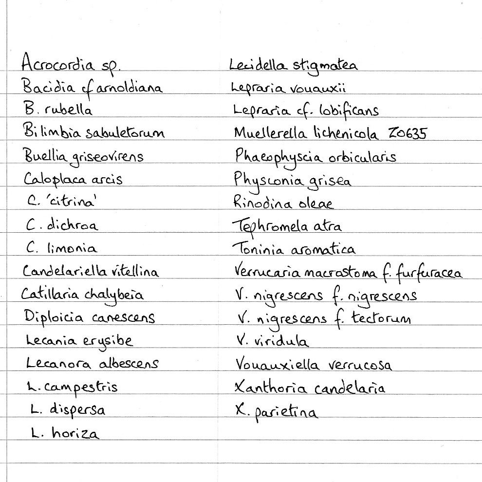 Mark Powell tweet media