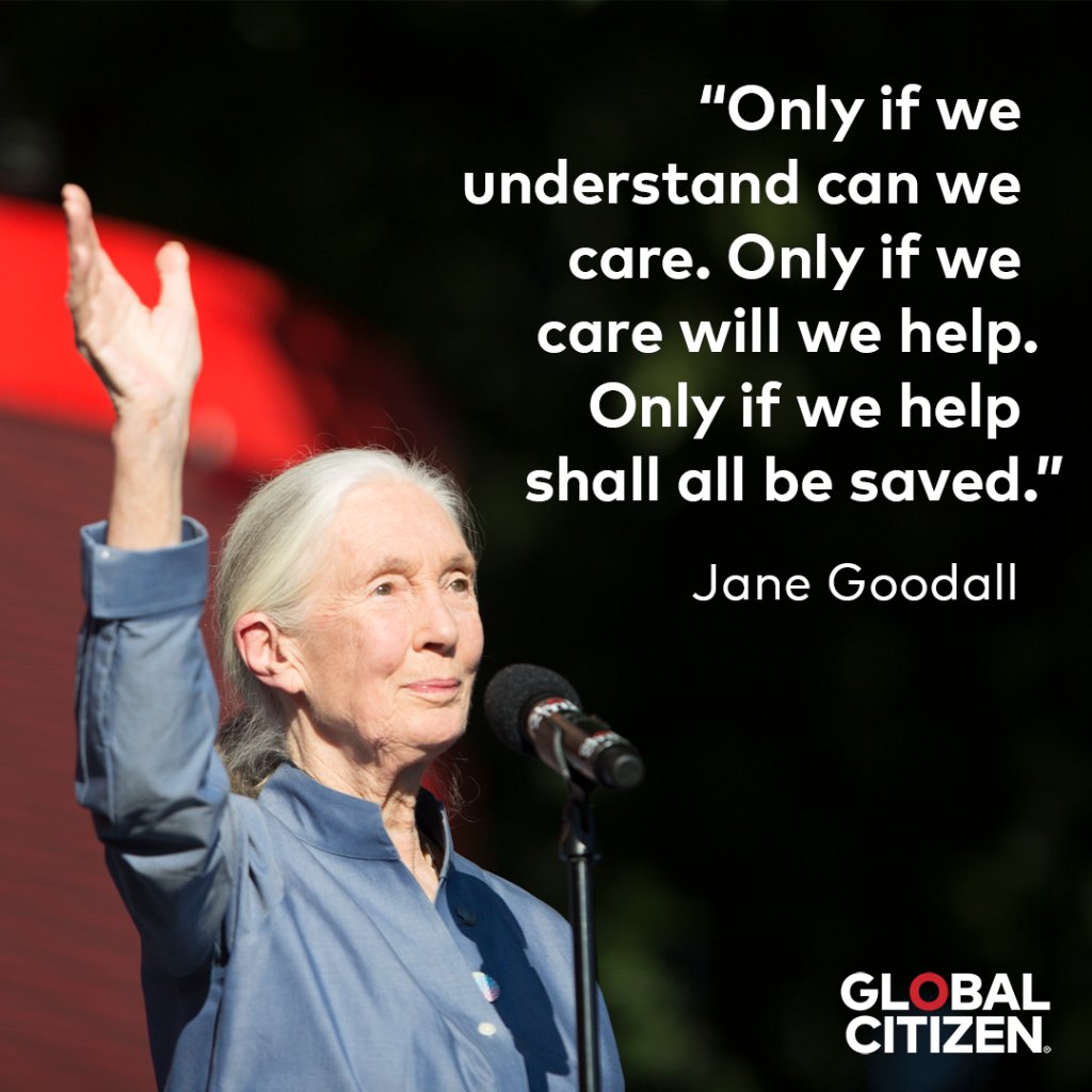 Happy birthday to the caring and inspirational Dr. Jane Goodall!    