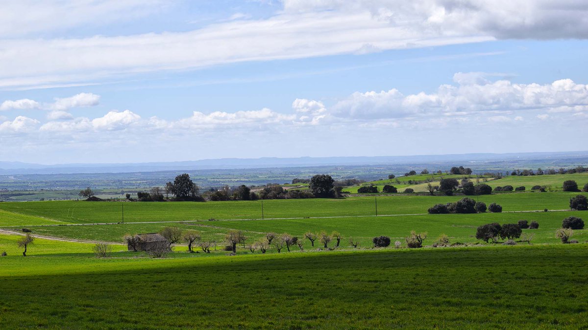 SomSegarra's tweet photo. Temps de #primaverasegarra als Plans de  #Vicfred @valldellobregos @lasegarra, #bonatarda @aralleida @catexperience @descobrircat @qbitacola @Turisme_Segarra @catpaisatge @caminsnatura @naturalocal @LleidaTV @CERCLEsegre https://t.co/lvDXA22KAU