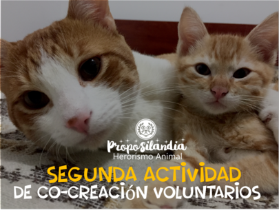 CapitalJCollege's tweet photo. Nos vemos hoy a las 5:30pm para ayudarlos 🐶🐱  https://t.co/QI1K8mHJlb @proposilandia #AlianzaCJC https://t.co/giiBq9xu41