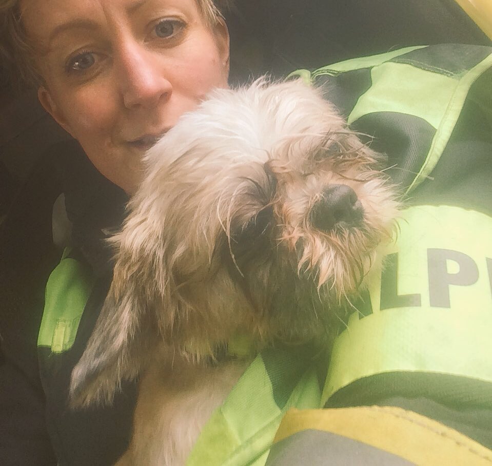 becks_bryant's tweet photo. #busycoupleofdays this tour for #redwatch @Redbridge53 @Hants_fire #RTC , afa and fitness yesterday,... PT circuit, Pumping and #housefire today. Nice #rescue of #dog by @StMarys54 followed by #O2therapy on the dog by the ECO (me!) As well as post fire cuddles! ๐ https://t.co/pjV2Db3UW9