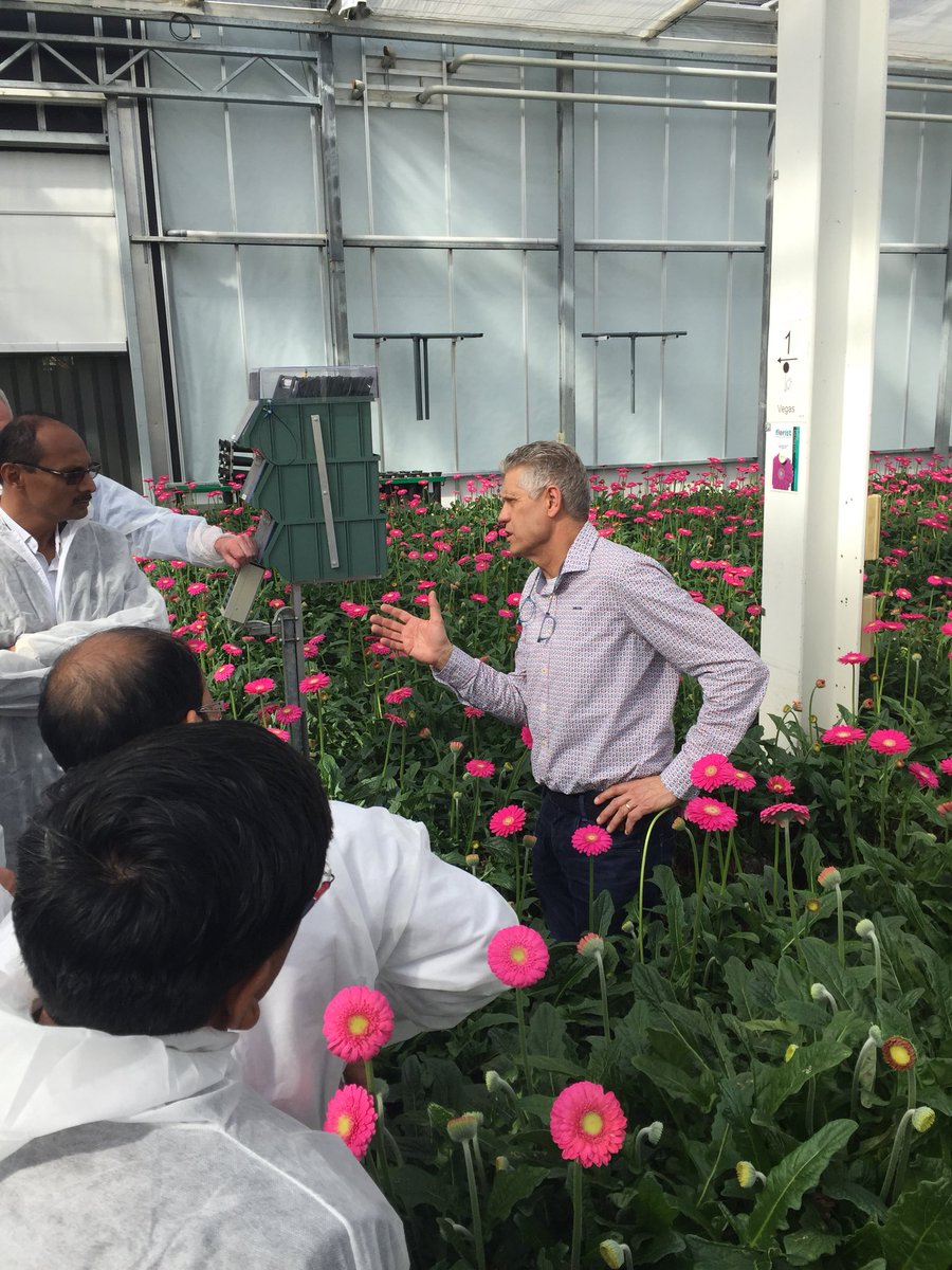 frankhollaar's tweet photo. Leo van Holstein van @HolsteinFlowers geeft de groep inkijk in de praktijk. Prachtig familiebedrijf, mooi verhaal over variëteiten! https://t.co/hWZUL7cQqG