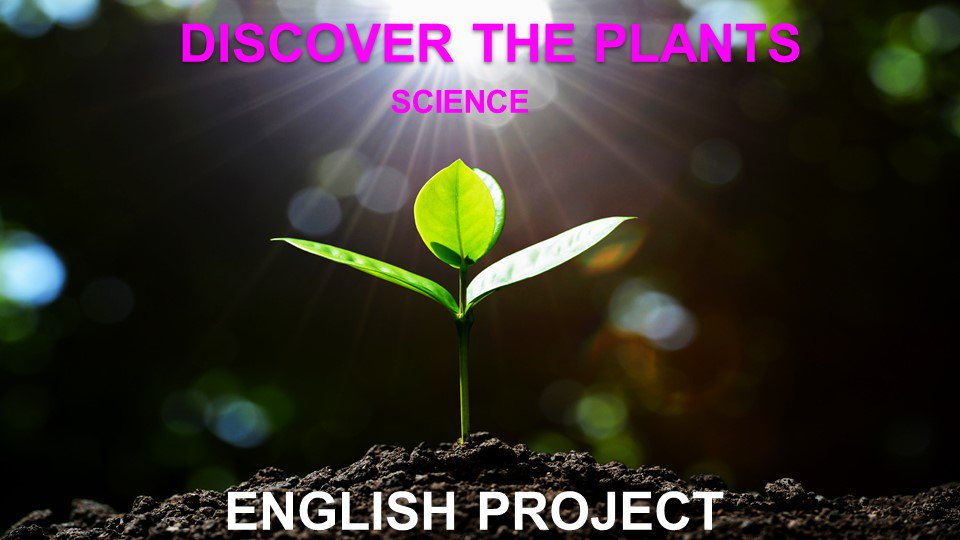 portafolis6's tweet photo. Disseny portada #englishproject: Discover the plants. I la guanyadora del disseny de la portada és... Marina Amayuelas. Moltes felicitats! #EF #sisè #science #TIC #interdisciplinaryproject #letsgo #learningalot @Apaesc_figueres @EscolapiesFIG https://t.co/2aGM1KMORW