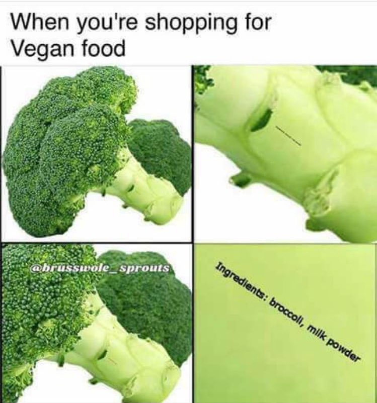 Vegan Problems tweet media