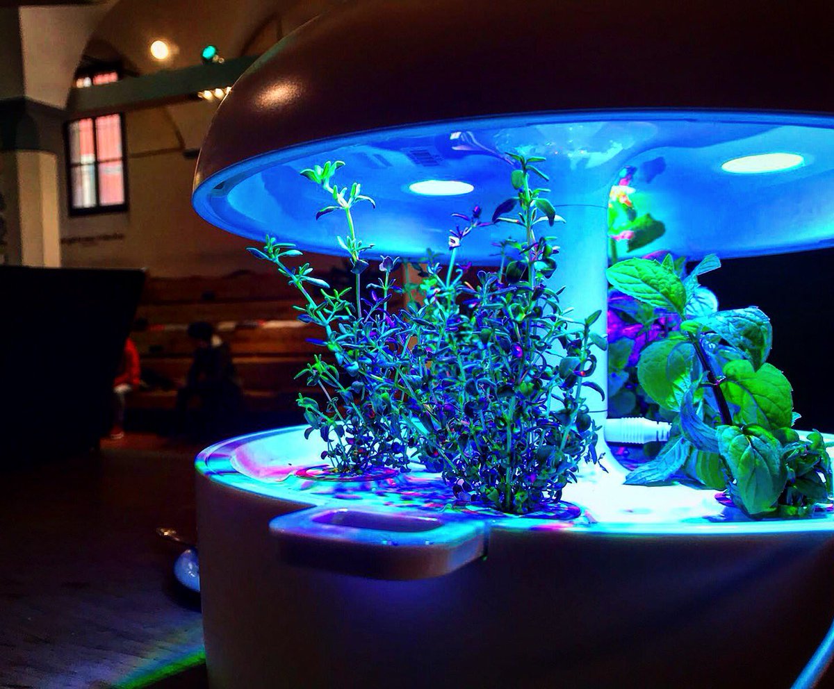 🍀Don’t look back, the future is forward🍃
This is <a href="/Plantui/">‏ٰ</a> for <a href="/Ffoodinstitute/">FutureFoodInstitute</a>🌿
.
.
.
#verticalfarming #indoorfarming #Hydroponics #verticalfarmingitalia