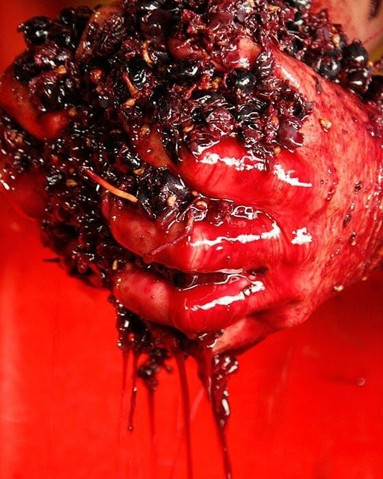 dmanso73's tweet photo. En el vino, como en todo, no sólo influye la buena materia prima, también son las manos de quien lo elabora de las que dependerá la calidad  y éxito del producto final 🍷🍷🔝🔝
📷 Margaret Hogan
#vino #arte #winelovers https://t.co/N0h3dCSgsH