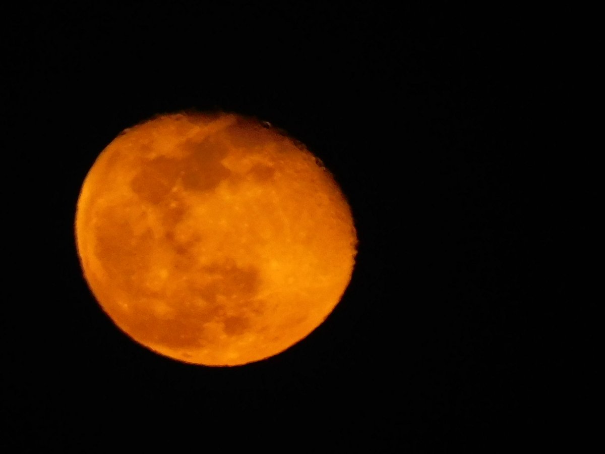 Last nights moon..