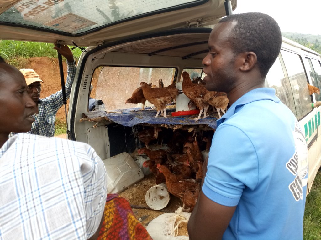 RwandaThsch's tweet photo. Gifts from the cooperative for the people of Nyagisozi &amp; Rwabicuma - fighting malnutrition/poverty. Part of our kitchen garden project #thrwanda https://t.co/R5hz7sEBYG
