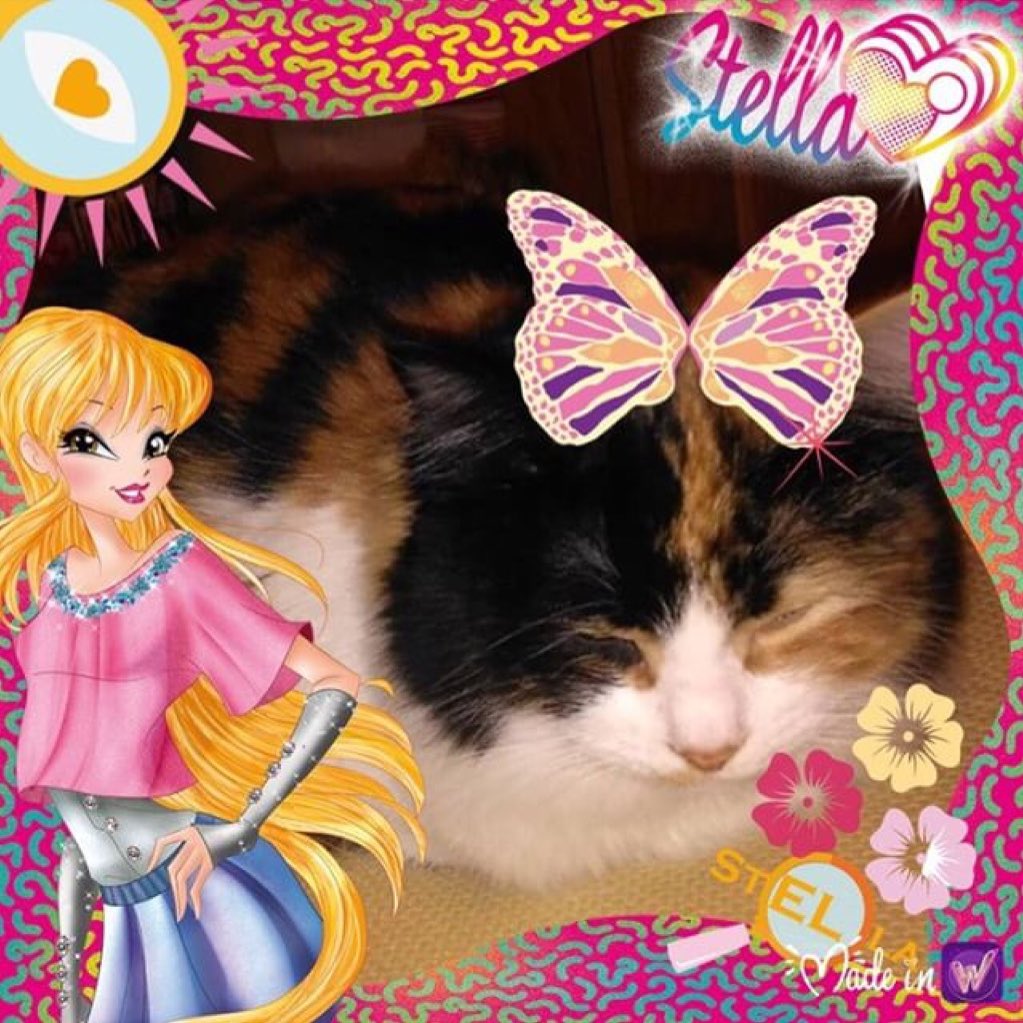 winxclubpretty's tweet photo. #NuevaFotoDePerfil @playwinxclub #WorldOfWinx #WinxClubApp #WinxClubSelfieMe #SelfieMe https://t.co/7WahDzlP9w