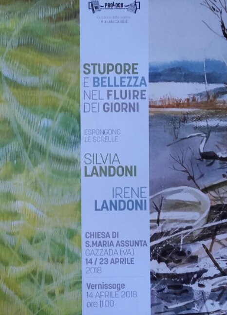 Esposizione d'Arte
#varese#varesenews#arte#artist