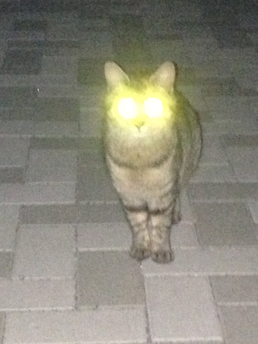 これ見た人はスマホのロック画面と壁紙晒せ Carian Twitter