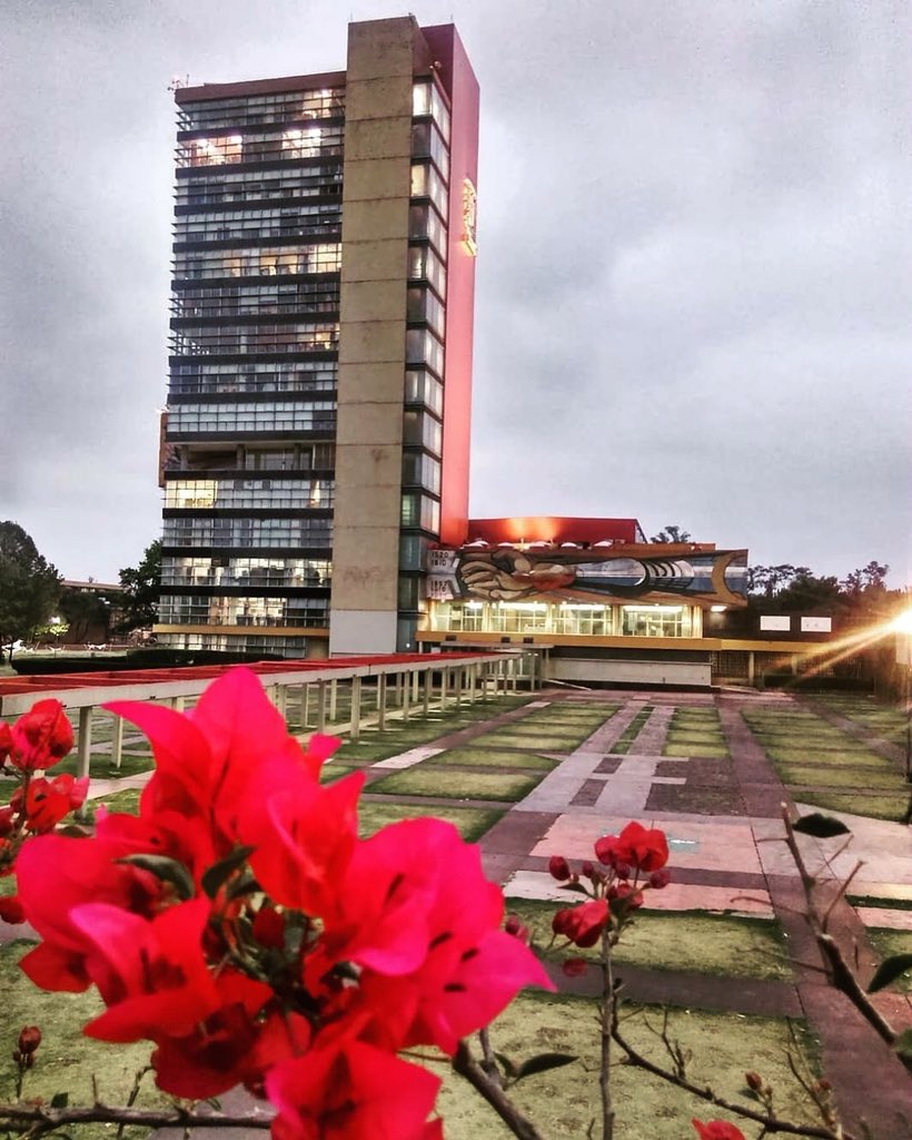 UNAM tweet media