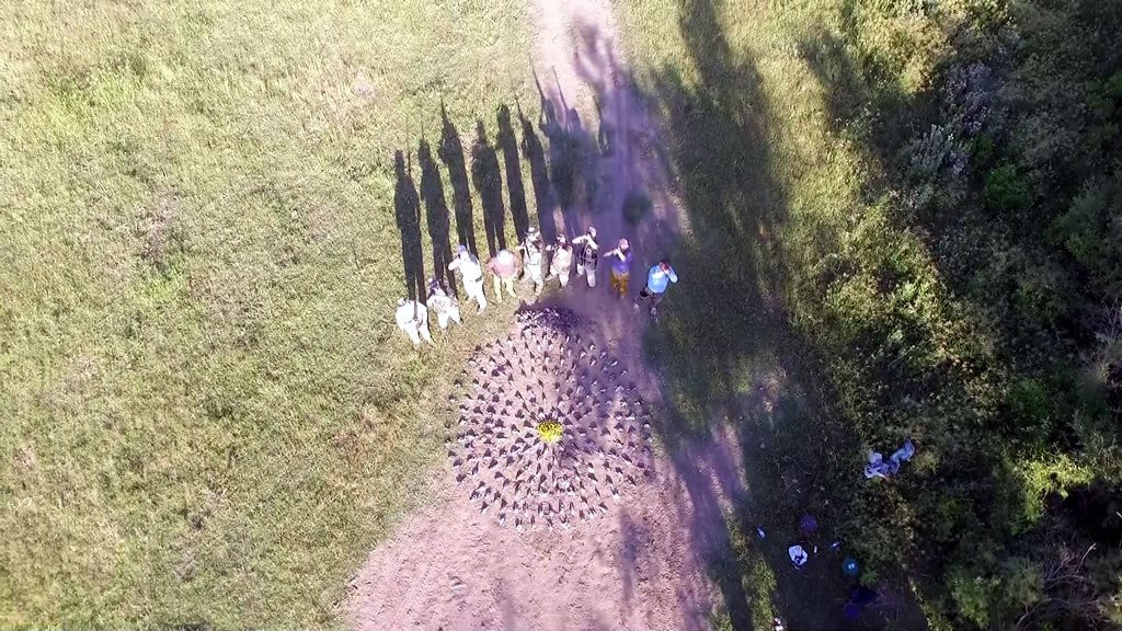 Reflections and recollections sycsporting.com/reflections-an…