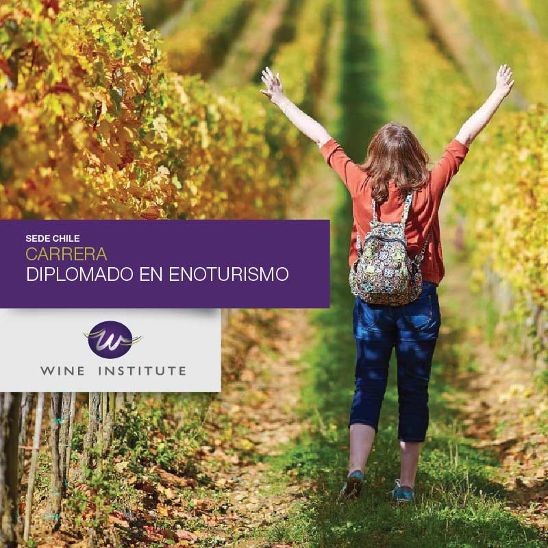 WineInstituteCL's tweet photo. ⚠ÚLTIMAS SEMANAS DE INSCRIPCIÓN⚠

 DIPLOMADO EN ENOTURISMO

¡Cupos limitados! No pierdas la oportunidad de estudiar y viajar por el mundo haciendo lo que más te gusta. Escríbenos a info@wineinstitute.cl 

¡Súmate a la #ExperienciaWIne! https://t.co/89EQHaXGaz