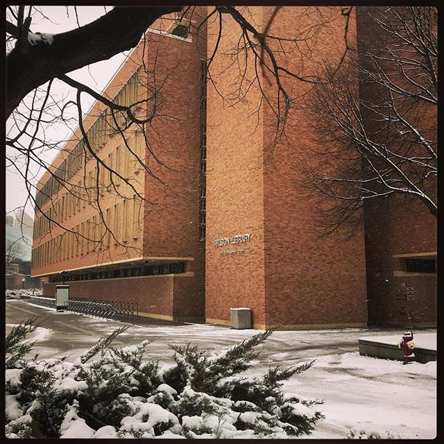 umnlib's tweet image. Grab your mittens! ⛄️ #yepmoresnow #eyeroll #mnspring #umn #itiswarminthelibrary #studytime📚 #somedayitwillbewarmagain ift.tt/2GvXtM4