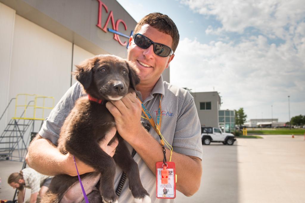 P66Aviation's tweet photo. Do you let your dog ride shotgun? How about Copilot? Learn how @TACAirTweets routinely assists @DogCoPilots with the transportation of #mansbestfriend to their #foreverhome. https://t.co/AjSB0gz89y #aviation https://t.co/WT6Qcf1sax
