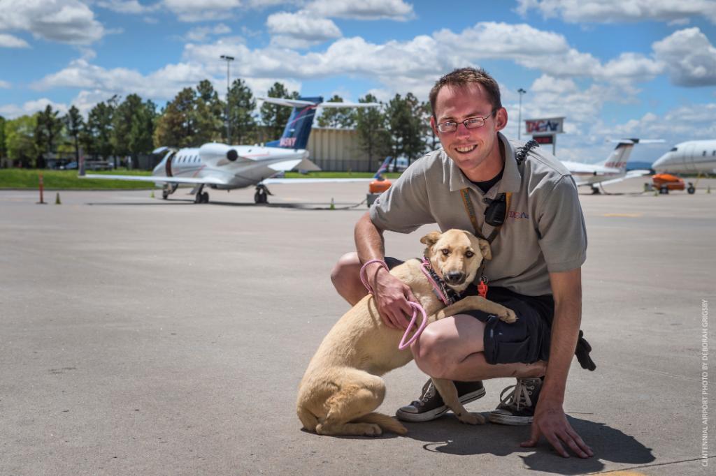 P66Aviation's tweet photo. Do you let your dog ride shotgun? How about Copilot? Learn how @TACAirTweets routinely assists @DogCoPilots with the transportation of #mansbestfriend to their #foreverhome. https://t.co/AjSB0gz89y #aviation https://t.co/WT6Qcf1sax