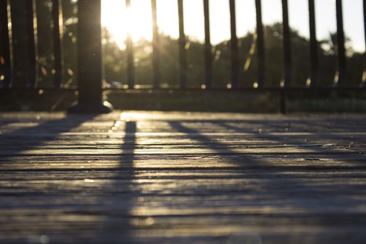 NHufnallRealtor's tweet photo. With the new day comes new strength and new thoughts. - Eleanor Roosevelt.

#realtor #realestate #nadinehufnallrealtor #lagrange #weimar #fayettecounty #coloradocounty #texas https://t.co/DqUywksfaD