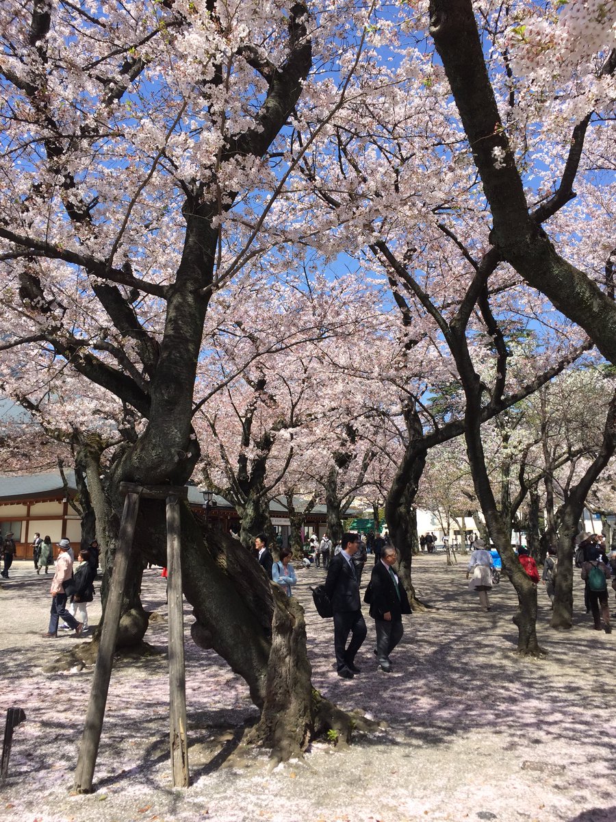 Tetsuya Oba 大場鉄也 Twitterissa 3月末に訪れた靖國神社 桜の花が散り始めていましたが はらはら散る景色も また美しく堪らない 戦争で散った数々の若人達は この桜を見る事が出来たのだろうか 桜花 散るぞ哀しき 靖國の 靖国神社 桜 満開 Tetsuya Oba 大場鉄也 Twitterissa 3月末に訪れた靖國神社 桜の花が散り始めていましたが はらはら散る景色も また美しく堪らない 戦争で散った数々の若人達は この桜を見る事が出来たのだろうか 桜花 散るぞ哀しき 靖國の 靖国神社 桜 満開
