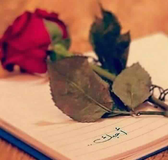 @3B5OO_ -
-
-
في كل أحوالك أحببتك، و في كل ثانية أغرمت بك و كأن رؤيتك تجدد تفاصيلَ الغرام بداخلي لك..❤️