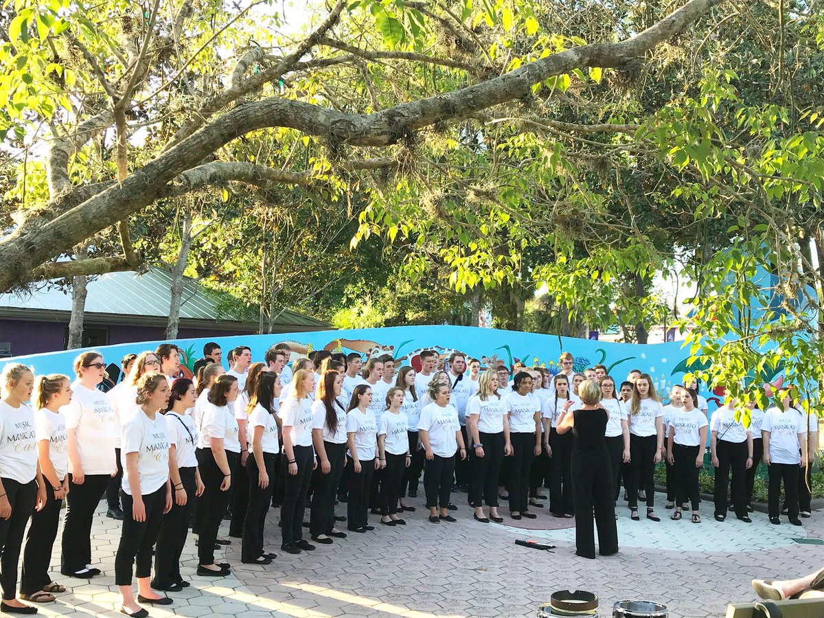 Music Contact International tweet media