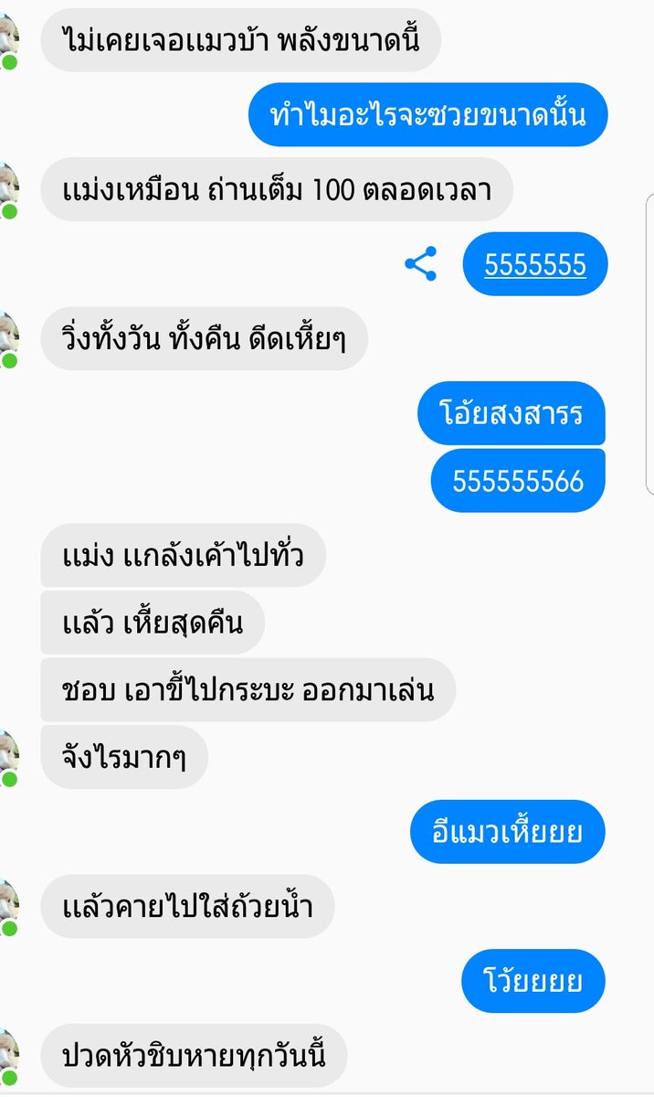 Bonusiie's tweet photo. เพื่อนได้แมวมาใหม่ แล้วแบบแมวเลวมากก โอ้ยยยย555555555555555555555555555555555555 https://t.co/k1rieeGXjE